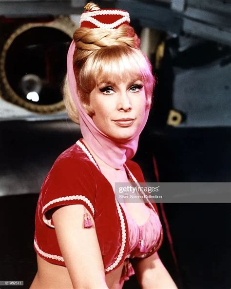 50 Barbara Eden Sexy And Hot Bikini Pictures Inbloon