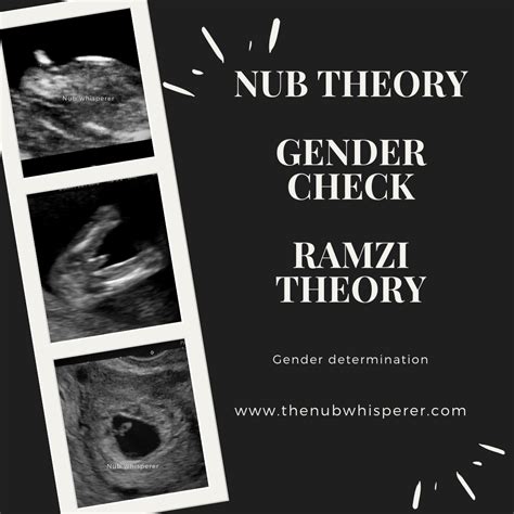 Nub theory ramzi theory | Nub theory, Gender prediction, Ramzi theory
