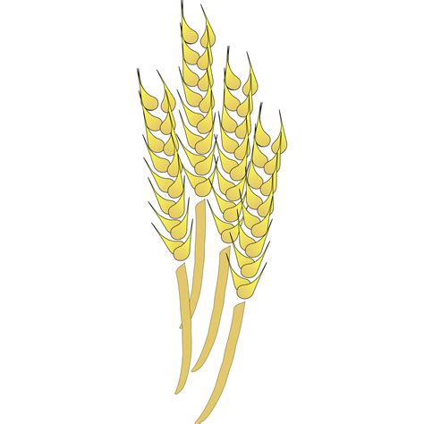 Wheat Images Clip Art Clipart Best