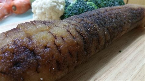 How To Cook Sea Cucumber Inspiration From You