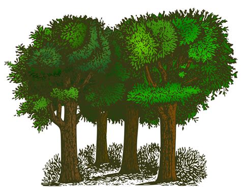 Free Tree Images Free Download Free Clip Art Free Clip