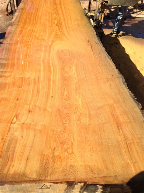 1800 Year Old Cypress Slab Recovered From A Log Buried 50 Down In A