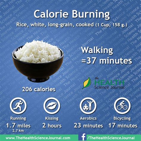 Rice White Long Grain Cooked 1 Cup Workout Food Food