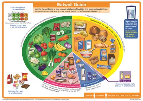 A Balanced Plate For Primary School Children Paediatric Nutrition