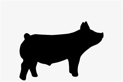 Pig Silhouette Show Pig Svg 183 File Include Svg Png Eps Dxf