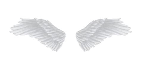 White Angel Wings Png Transparent Image Download Size 900x485px