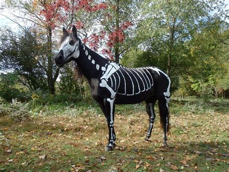 The 22 Best Horse Halloween Costumes Of All Time Artofit
