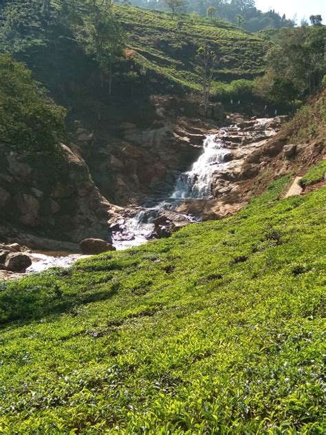 Tamilnadu Tourism Quin Water Falls Kotagiri Nilgiris