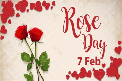 Rose Day 7 Feb Card
