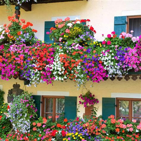 49 Ideas Create The Most Enchanting Rail Balcony Garden With Your