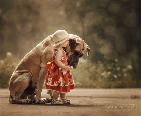 Photographer Shows How Gentle Big Dogs Are Towards Their Little Humans