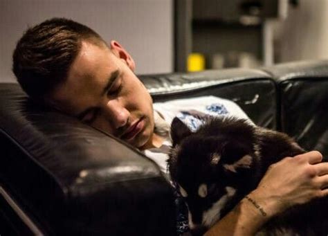 Aaaa Sleeping Beauties Liam Payne Liam James One Direction Harry