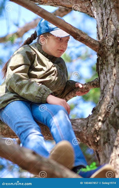 Child Girl Climbing In A Tree Bright Sunlight Beautiful Day Stock