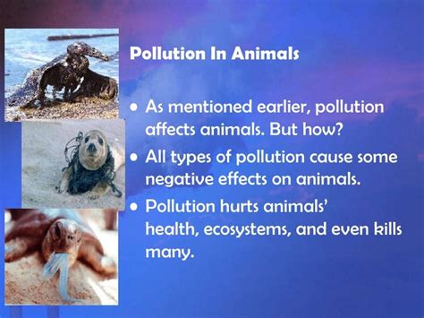 The Effect Of Pollution On Animals