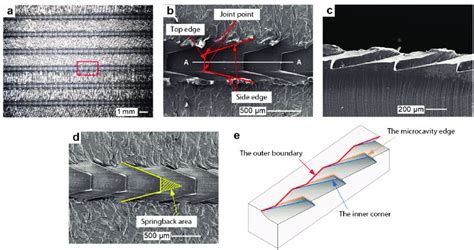 Characterization Of The Cutting Structure A Optical