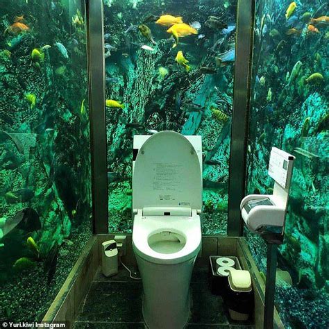 Japan S Hipopo Papa Cafe Spends Over K Installing A Toilet That S Surrounded By A Huge Fish