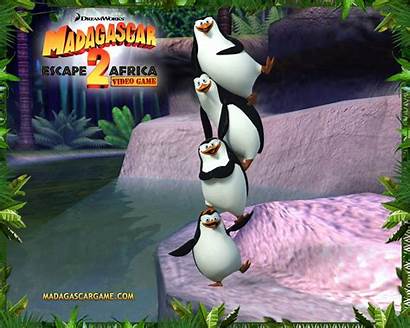 Madagascar Animation Escape Wallpapers Africa Handphone Penguin