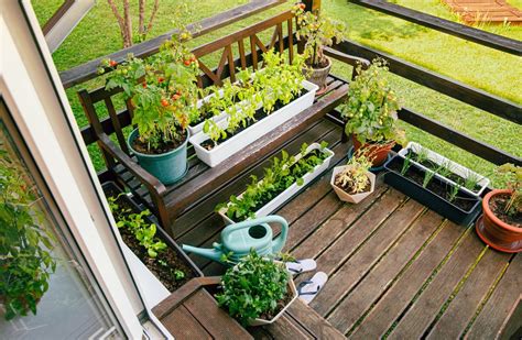 How To Create And Maintain A Balcony Herb Garden Balcony Boss