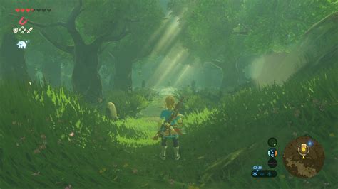 Zelda Breath Of The Wild Forêt Korogu Aqua N Game