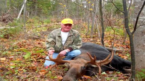 Maine Blackwater Outfitters Bear Moose Coyote Guided Hunts Maine