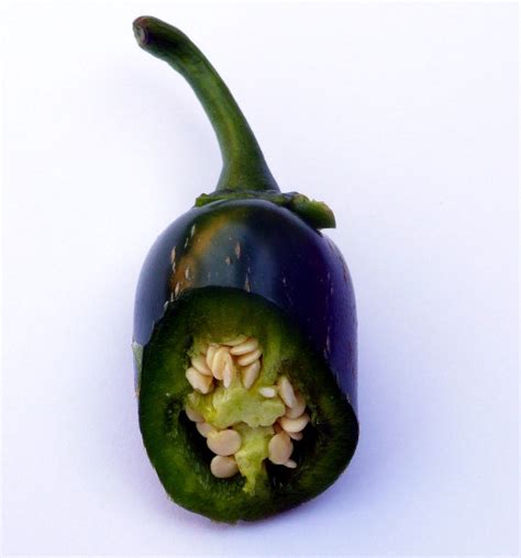 Посевные семена , посевной материал. Jalapeño samenfestes Saatgut - LandschaftenSchmecken