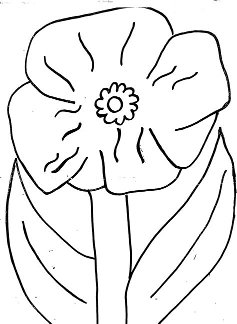 Poppy Colouring Page