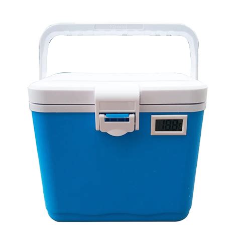 5l Mini Portable Plastic Fish Ice Cool Box Frozen Cooler Box For