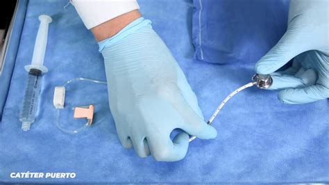 Para O Tratamento Quimioterápico Pode Ser Colocado Dentro De Lipossomos