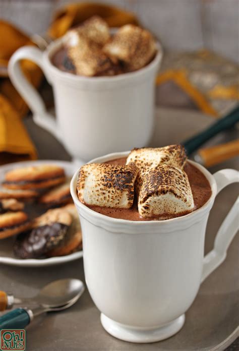 toasted marshmallow hot chocolate oh nuts blog