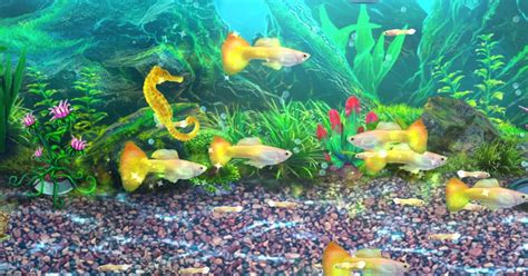 This app was rated by 1 users of our site and has an average rating of 3.0. How to get rich quick in Fish Tycoon 2