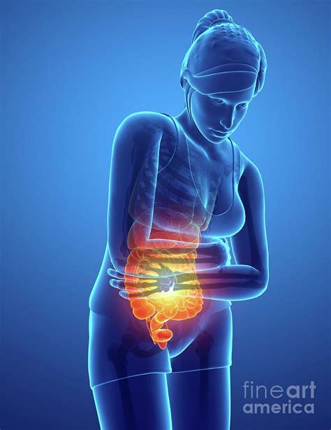 Woman With Abdominal Pain Photograph By Pixologicstudioscience Photo