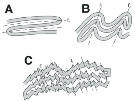 Diagrammatic Cross Sections Illustrating Multiple Sequence Of Folding