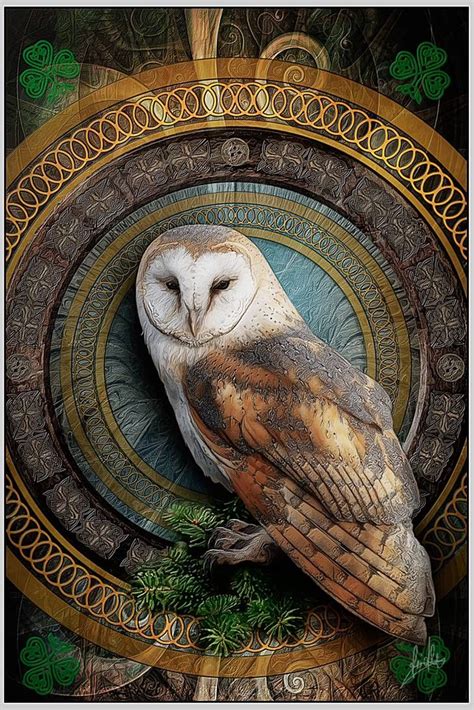 Owl Art By Greenfeed Owl Art Owl Artwork Owl Pictures