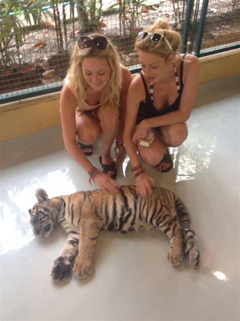 Touched A Tiger Wander Trip Bucket List