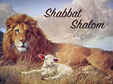 Shabbat Shalom Lion And Lamb Lion Of Judah Jesus Lion