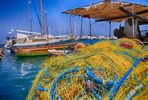 Blue Economy Pesca Italia Offerte Di Lavoro Sui Social