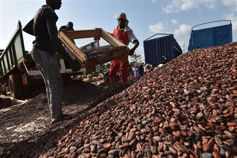En Côte d'Ivoire l'ex SAF-Cacao sur la voie du ...