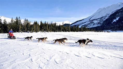 Dog Sledding Tours In Alaska Travel Alaska