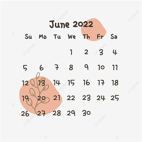 June Calendar White Transparent Download 2022 Aesthetic June Calendar