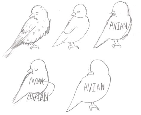 Avian Logo On Behance