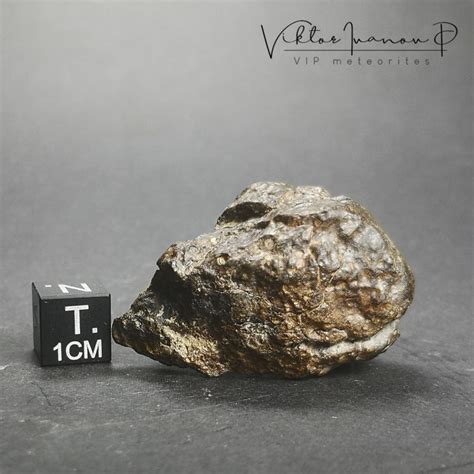 Cv3 Carbonaceous Chondrite Meteorite 21g Vip Meteorites