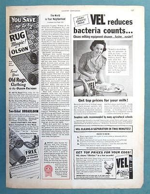 Original 1950 VEL Soap Ad Photo Endorsed By Mrs F H Rittgers Of Ankeny