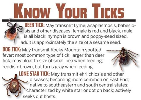 How Long Do Symptoms Of Tick Bite Fever Last Howtoeromv