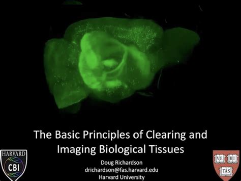 Webinar Basic Principles Of Clearing And Imaging Biological Tissues
