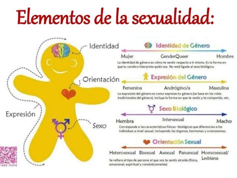 sexualidad y genero concept map