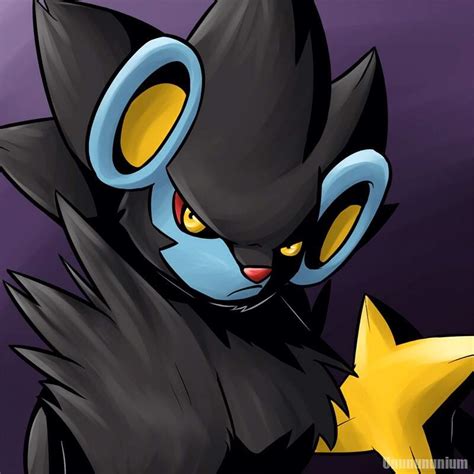 Competitive Spotlight Luxray Pokémon Amino