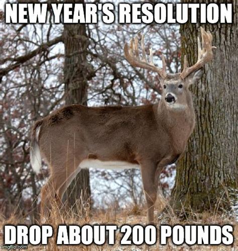 93 Best Humor Deer Season Images On Pinterest