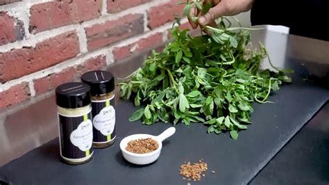 Thus, it is recommended to add small amount of fenugreek if you seek breast enlargement goal How to use fenugreek seeds and vegetable - YouTube