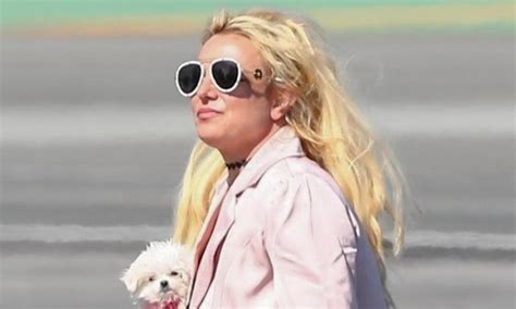 Britney Spears Was Recently Pulled Over And Issued Two Violations