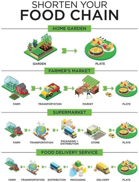 Food Supply Chain Infographic Source Sandia Seed Company